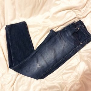 AG Adriano Goldschmied The Stevie Slim Straight